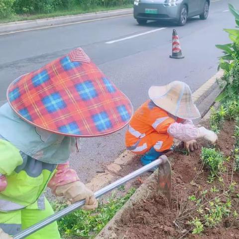 【琼海玉禾田】积极应对雨水天气，保障环境卫生质量标准不降（9月10日）