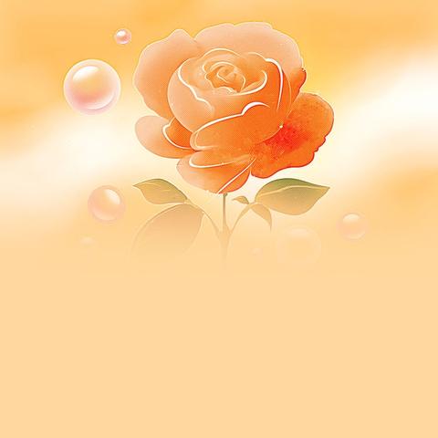 如何利用信息化资源构建数学模型？