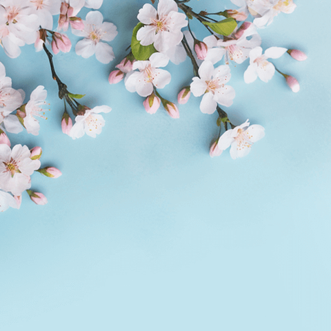 为什么说推翻帝制是人类历史之伟大壮举