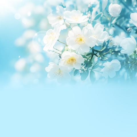 当今世界各国选择政体的类型及其特点