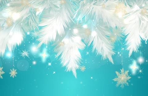 社会主义国家政体的优势及其实践路径