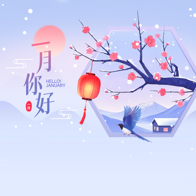 权力驱动社会与制度驱动社会 核心特点及全面区别