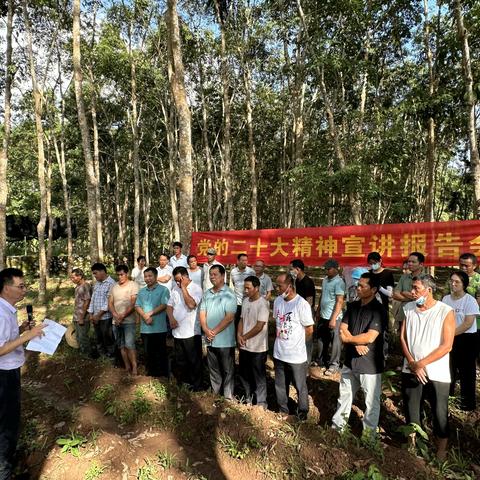 让党的二十大精神在农村落地生根、开花结果——“驻村第一书记”宣讲团走进林间地头