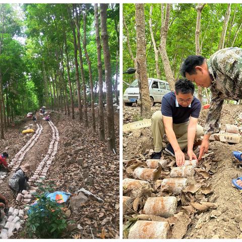 新高峰村：党建引领产业发展 助力群众增收致富