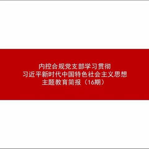 内控合规党支部学习贯彻习近平新时代中国特色社会主义思想主题教育简报（第16期）