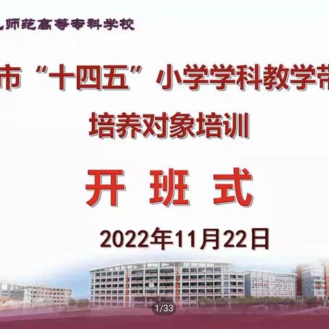 泉州市“十四五”小学学科教学带头人培养对象培训简报