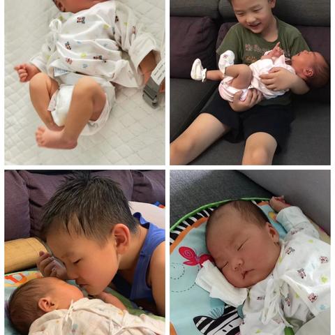 乐意如意，兄妹俩 （1） 2019.8.13—2020.6.1.