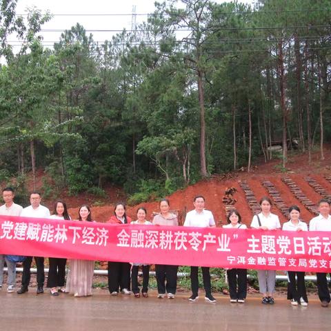 党建赋能林下经济 金融深耕茯苓产业——宁洱金融监管支局党支部开展主题党日活动