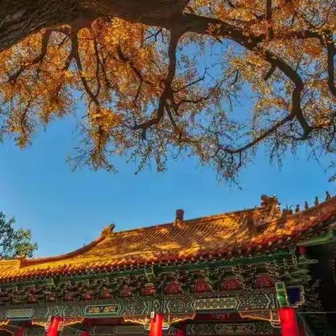 古刹与古寺