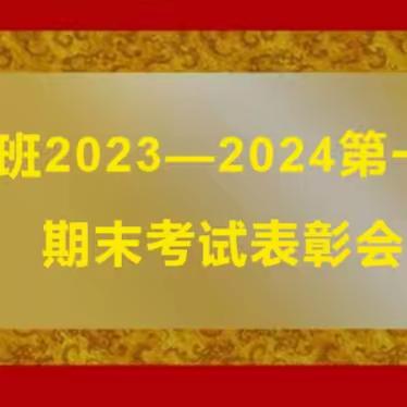 向阳花开，筑梦未来 ——164班期末表彰会