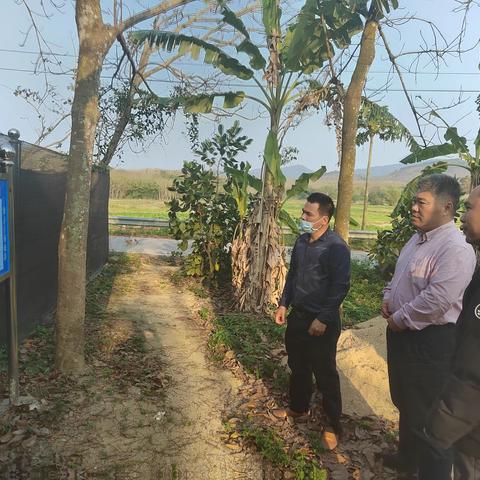 对俄村调研组秦禧一行考察调研罗曼粉蛋鸡林下养殖基地