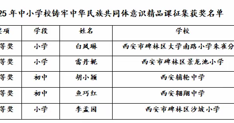 【碑林教育•喜报】碑林区中小学思政课教师在陕西省2025年中小学校铸牢中华民族共同体意识精品课征集活动中喜获佳绩