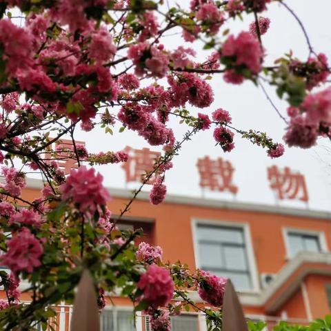 “疫”起坚守  静待重逢----临时静默期间致全体师生及家长的一封信