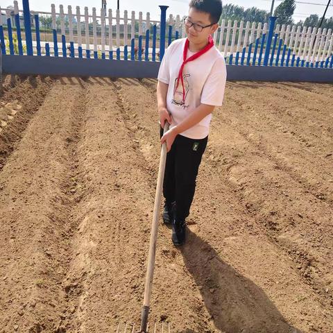 劳动砺心智，实践促成长——记药王庙小学劳动基地的收获之旅