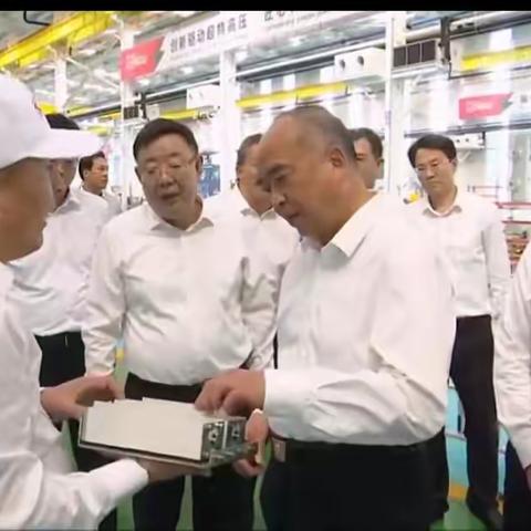 省委书记林武莅临泰和电力集团调研指导