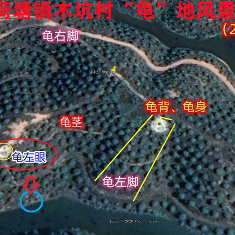 高州市荷塘镇棠南村委会木坑村“长寿龟”风景图片简记（初稿）