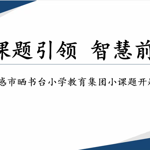 课题引领，智慧前行      ——孝感市晒书台小学教育集团举行校级小课题开题仪式