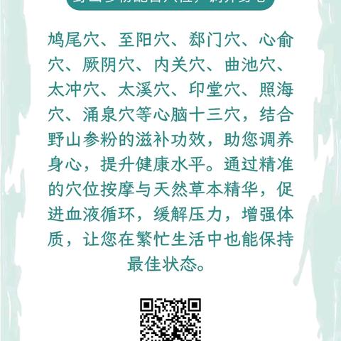 心脑十三穴+野山参粉