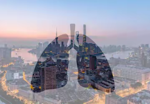 风过廿载，清气自来：远大空气与民族品牌的崛起之路