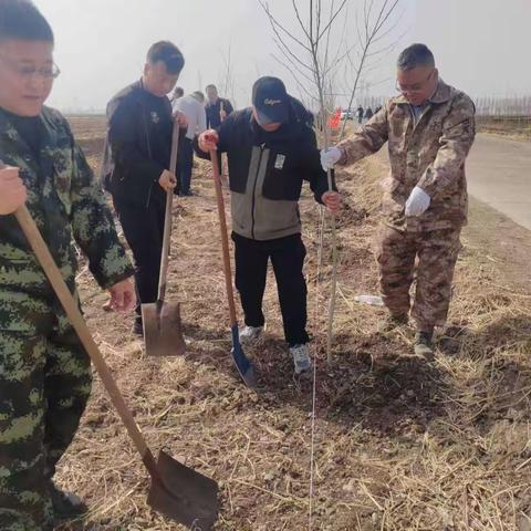 龙江县公路事业发展中心组织 党员参与植树活动纪实