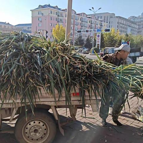 龙江县公路事业发展中心 帮售小菜园大葱活动纪实