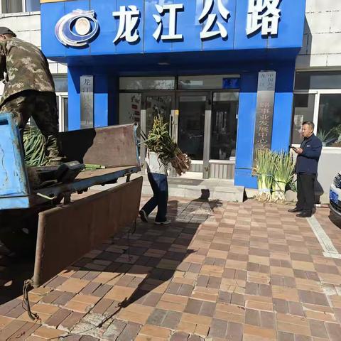 龙江县公路事业发展中心 助农销售大葱工作纪实