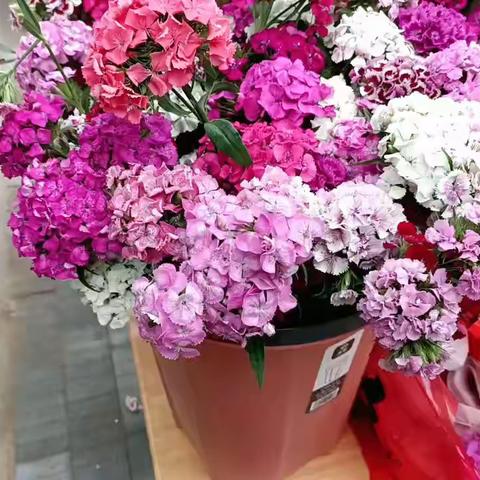 欢乐堡幼儿园——“筝”春色，享春趣风筝节活动——《鲜花浪漫》