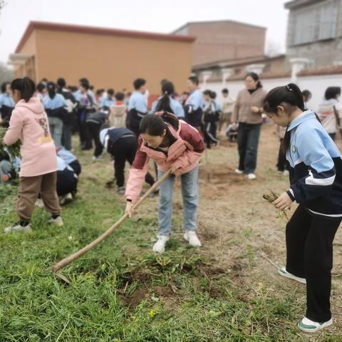 小手种希望 桃树伴成长 ——五头镇中心小学举行桃树种植劳动教育活动