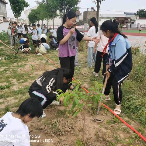 五头镇中心小学开展“我为小树来除草”劳动教育活动