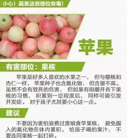 蔬菜与水果