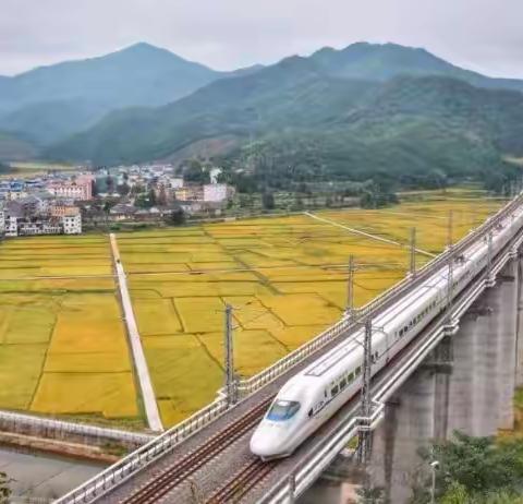 知路爱路护路 共筑平安铁路———陂面镇中心幼儿园铁路安全知识宣传