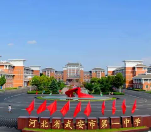 青春恰似火，奋斗正当时——武安市第一中学高一25班线上教学纪实