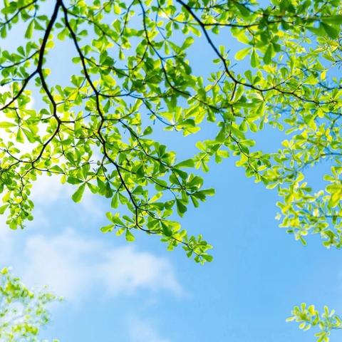 集体备课凝智慧 师生共学启新程——临沂汤庄实验学校小学部语文教师业务培训暨集体备课活动纪实