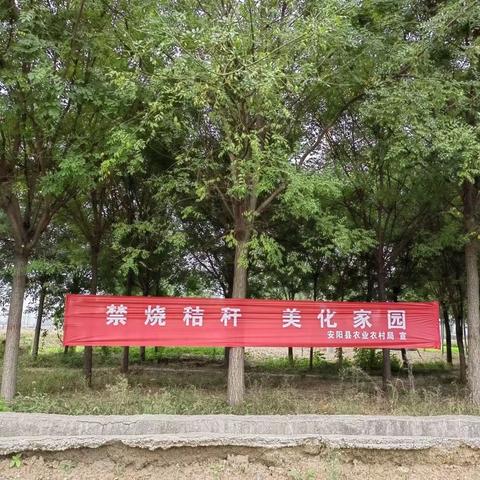 永和镇加大禁烧力度，建设生态家园