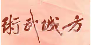 武韵传薪火 少年展锋芒 ——方城武术九式拳