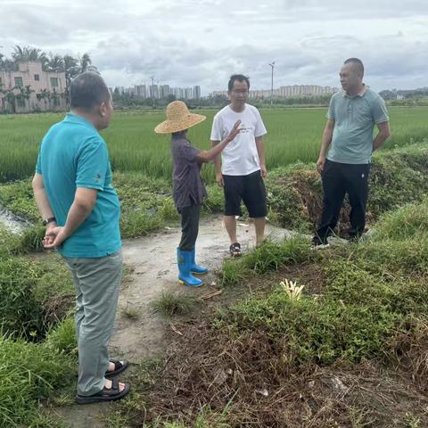 应对台风“剑鱼” ，陵水县农业农村局全力筑牢农业生产安全防线