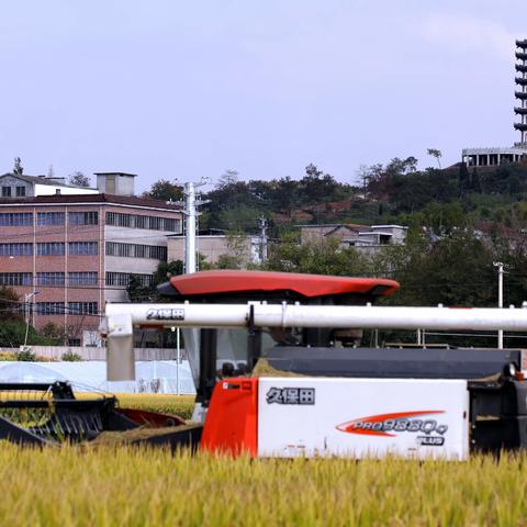 看新变化领会八八精神2