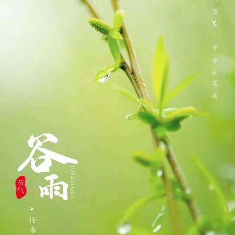 谷雨暮春，万物生长愿所有的美好，都会破土而来 。