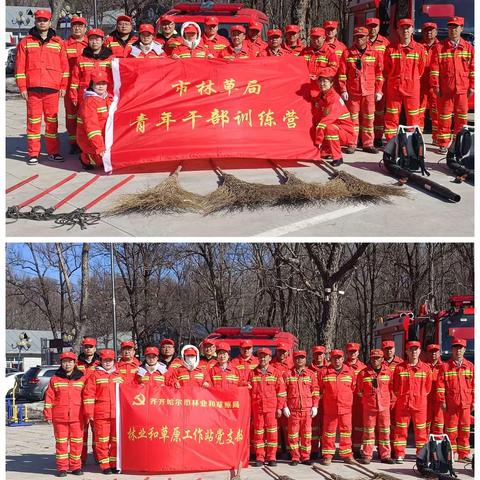 岗位练兵强业务 以练促学共提升——市林草局支部主题党日活动简报