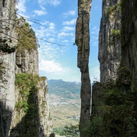 熬得苦寒，静待花开