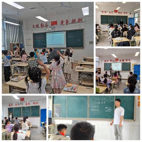 群乐小学：2025年春季学期第12周工作纪实