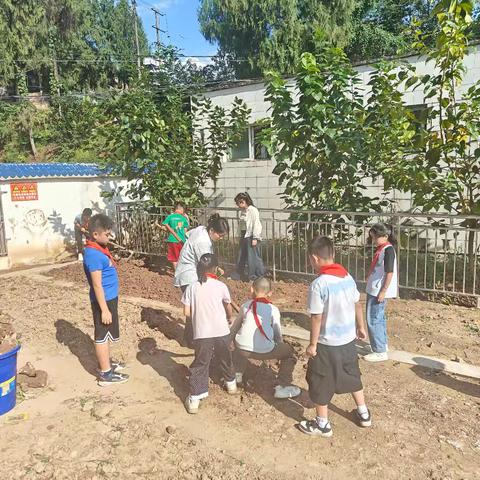 群乐小学：2025年秋季学期第6周工作纪实