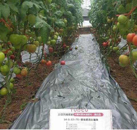 功效肥效果案例，邀您见证