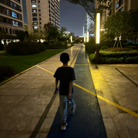 “公顷”和“平方千米”