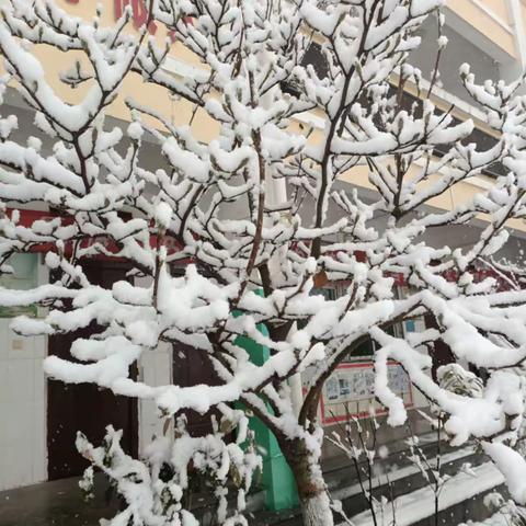 以雪为令 志愿同行——西华小学清雪除冰志愿活动