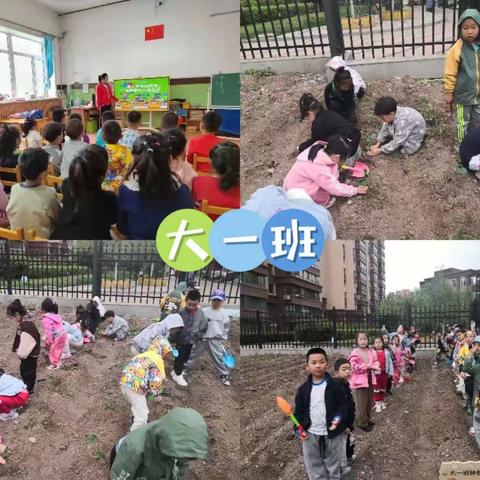 深耕劳动情怀锤炼劳动品质——东浦小学“我和小苗共成长”远程种植活动