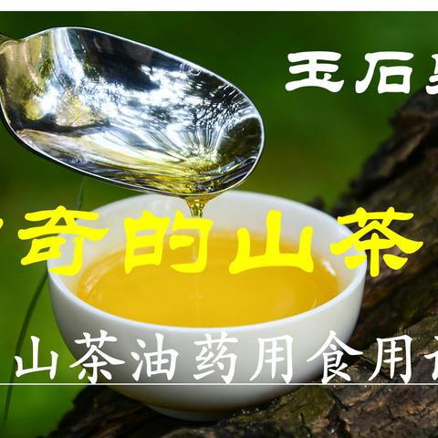 神奇的山茶油   之山茶油药用食用诀窍