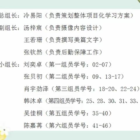 自主成长 向雅而行 ——实验学校2019级22班“社会化学习”成长之路