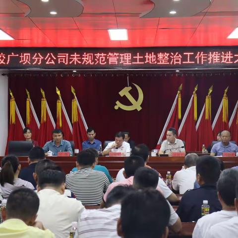 海胶集团广坝分公司召开未规范管理土地整治工作推进大会
