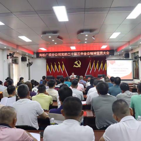 海胶集团广坝分公司召开党的二十届三中全会精神宣贯大会